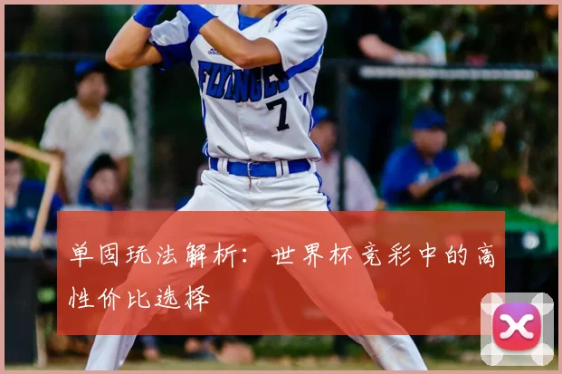 单固玩法解析：世界杯竞彩中的高性价比选择