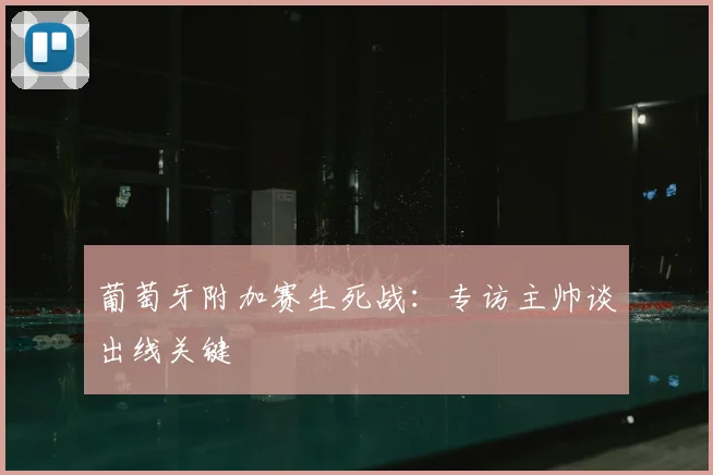 葡萄牙附加赛生死战：专访主帅谈出线关键