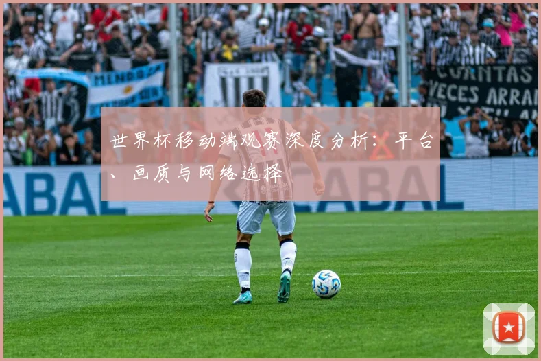 世界杯移动端观赛深度分析:平台、画质与网络选择