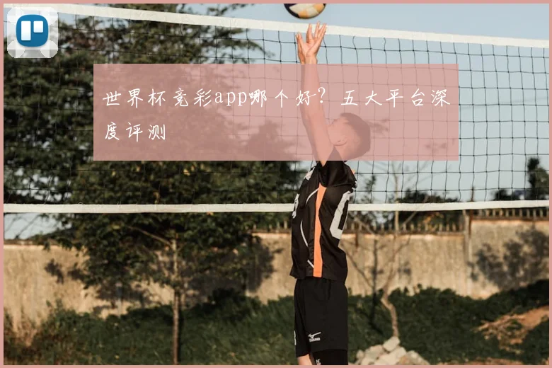 世界杯竞彩app哪个好?五大平台深度评测
