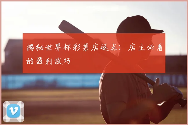 揭秘世界杯彩票店返点：店主必看的盈利技巧