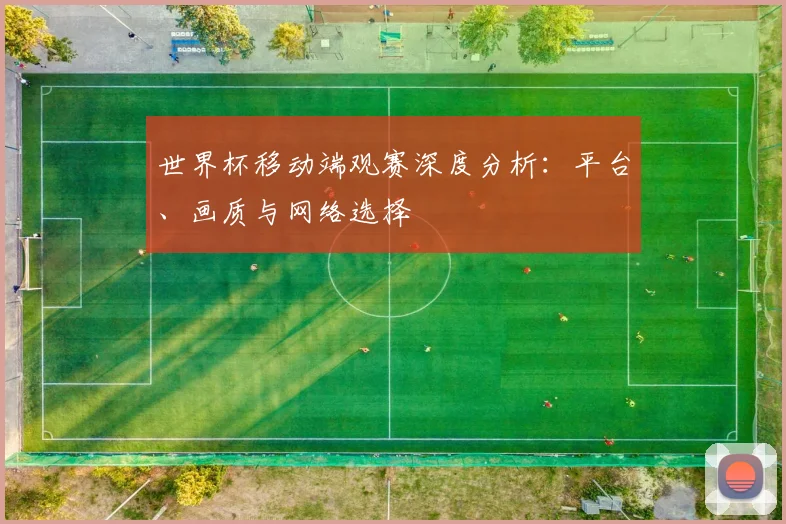 世界杯移动端观赛深度分析:平台、画质与网络选择