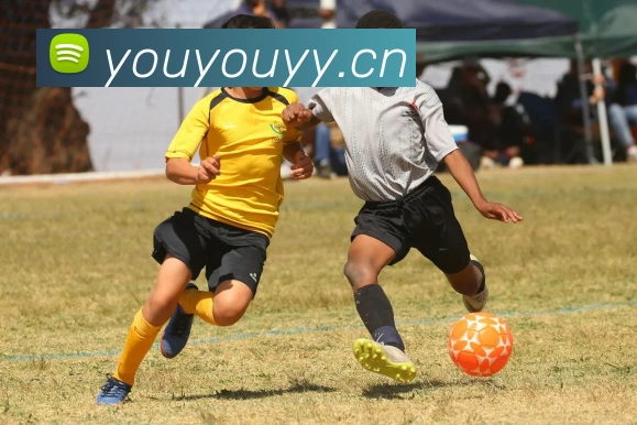 多媒体互动体验